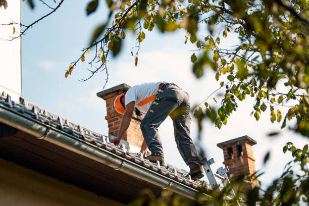 Residential Roof Replacement in Stagecoach, NV