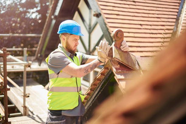 Roof Gutter Cleaning in Stagecoach, NV